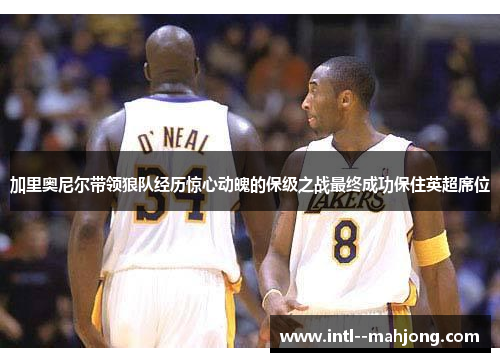 加里奥尼尔带领狼队经历惊心动魄的保级之战最终成功保住英超席位 加里奥尼尔带领狼队经历惊心动魄的保级之战最终成功保住英超席位