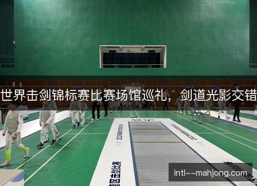 世界击剑锦标赛比赛场馆巡礼,剑道光影交错 世界击剑锦标赛比赛场馆巡礼,剑道光影交错